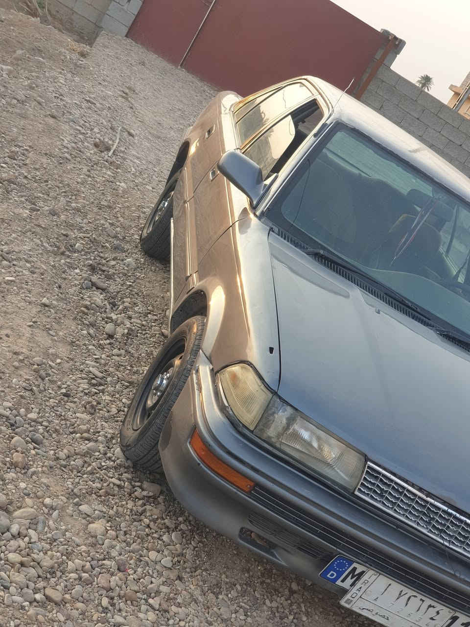 كورلا شطح • ١٩٩١ • رقم ديالى