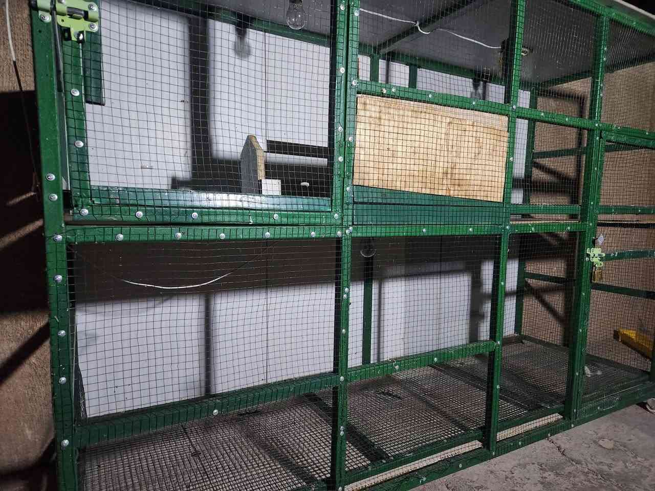 قفص حديد للبيع
الطول مترين /الارتفاع متر ونص /العرض ٦٥ سم 
طابقين مأسس كهرباء واناره شغل درجه أولى وجديد
السعر ١٥٠ وبي مجال حك الجيه للاستفسار اتصل ***********
