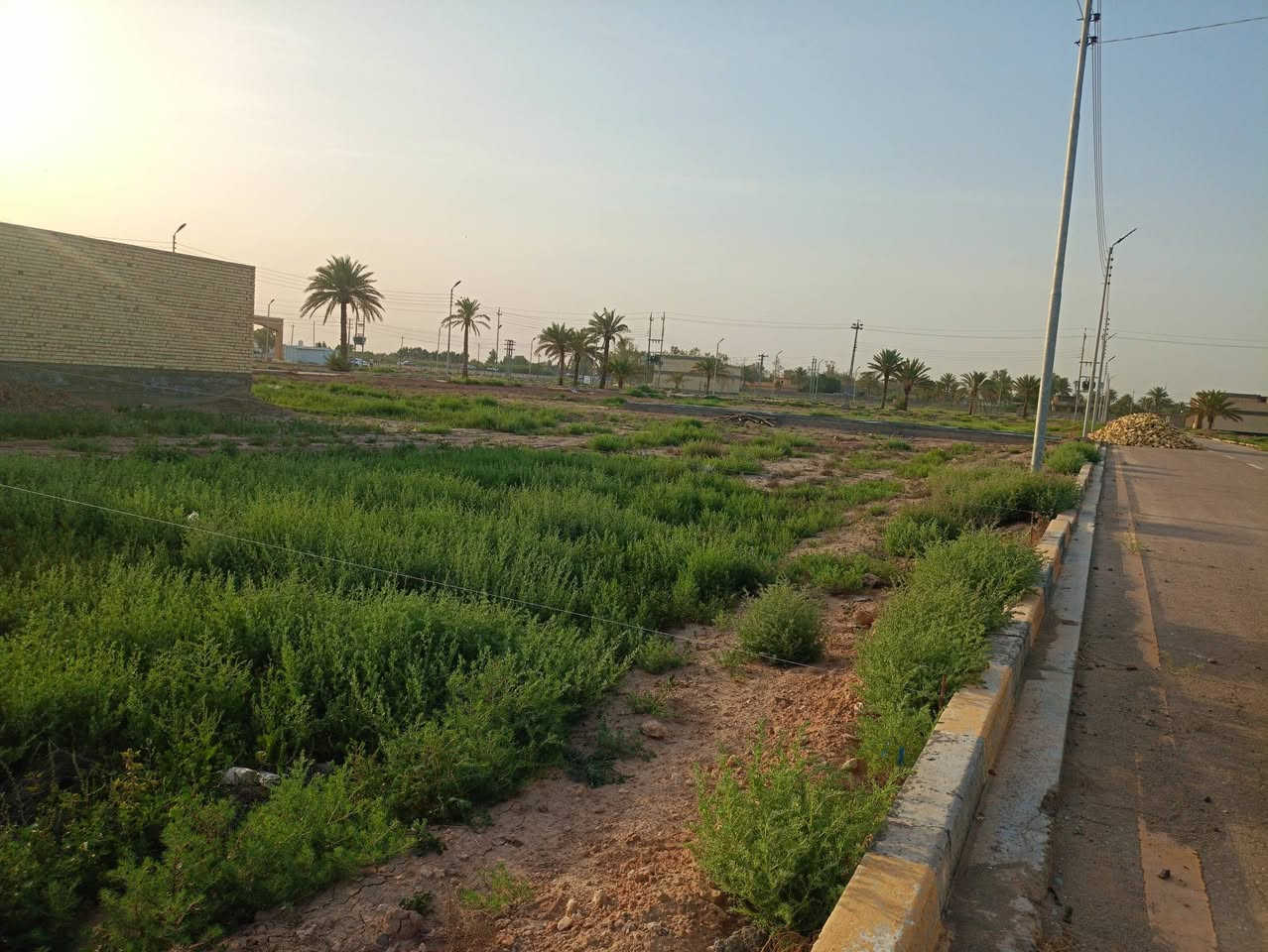 مرحبا عندي قطعه أرض مساحته 100 متر في مدينة حمورابي السكنيه سند 25 طابو صرف زراعي متوفر كافت الخدمات ماء كهرباء تبليط ارصفه مجاري الموقع على طريق حله بغداد السعر 16 وبيه مجال  بسيط للستفسار على الرقم *********** ..***********
