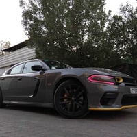 هيمي • وارد امريكي • ٢٠١٩
