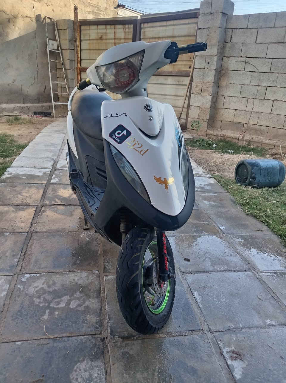 ماكس صلنصه طرب دراجه حلوه رزنه 55/رجعته بلاد 49 /500بيه مجال ***********
