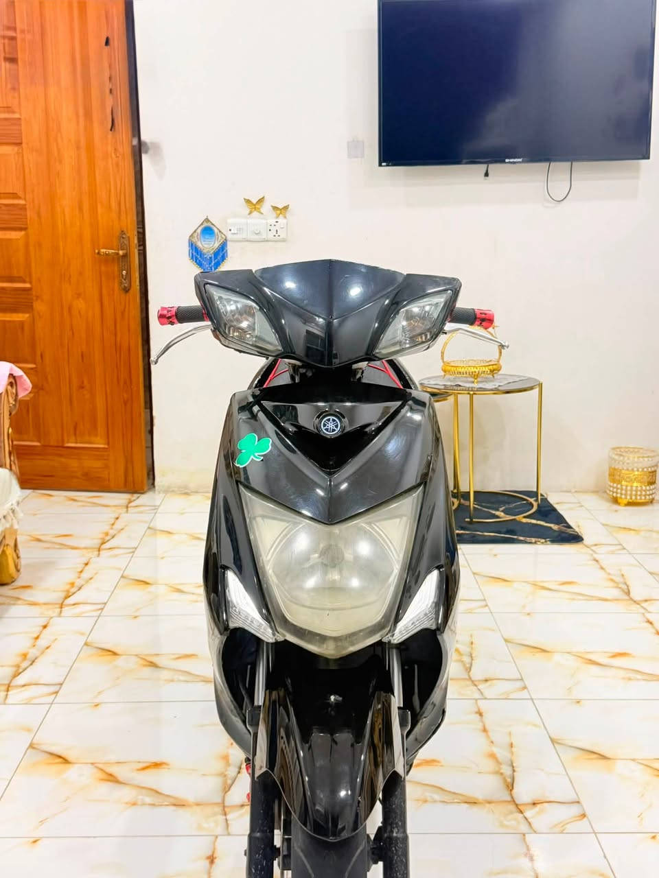 سكنس • ياباني • مكفوله