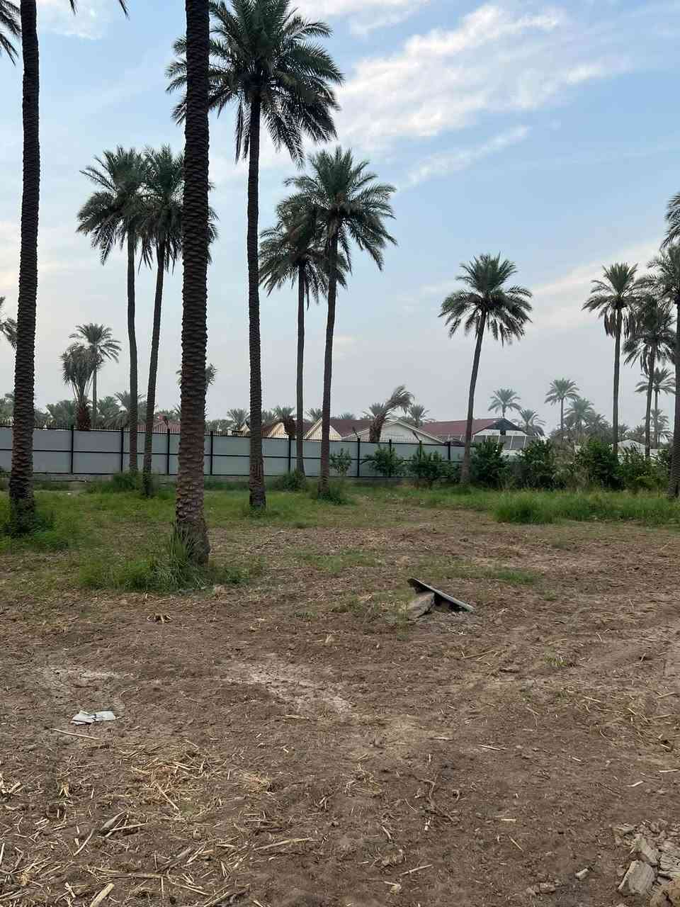 نص دونم • طابو سند ٢٥ • ١٥٠م من دجلة