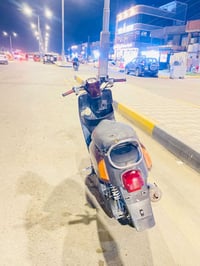 ماكس بوليسي • نوزل • ٢٠١٠