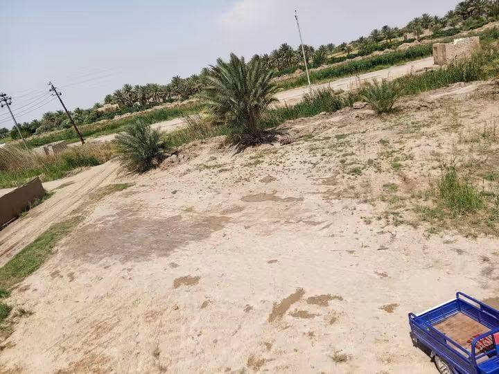 السلام عليكم  ارض زراعيه للبيع ثلاث دوانم مع بيت متكون من استقبال ومطبخ وغرفتين وصاله ومجمع صحيات  بس ارضي عايزله ،بل دغاره على الشارع العام مباشر  يم مدرسه الجمعيات  السعر تصال ع رقم *********** ادخل واتساب
