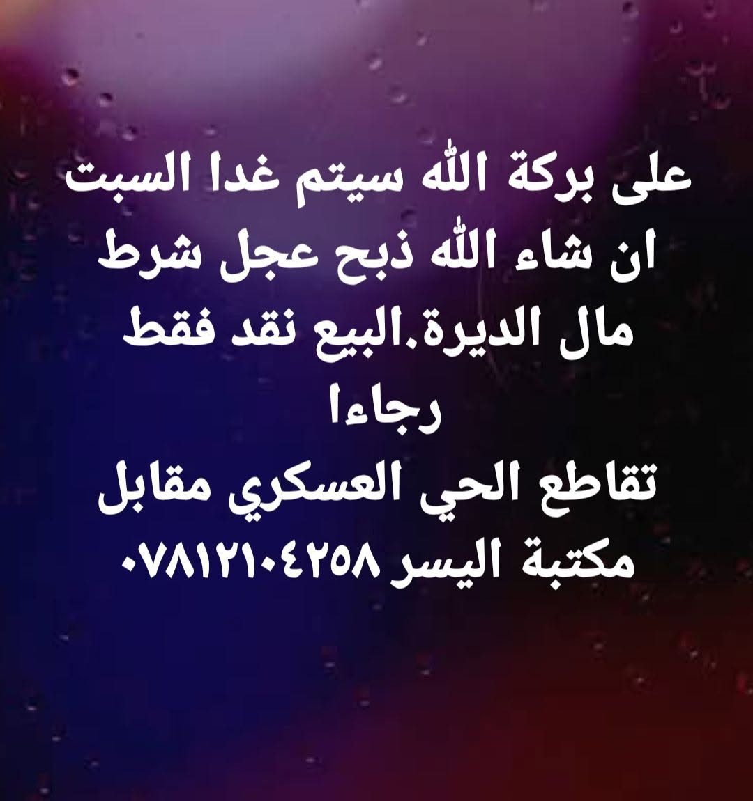 ذبح عجل • غدا السبت • الحي العسكري