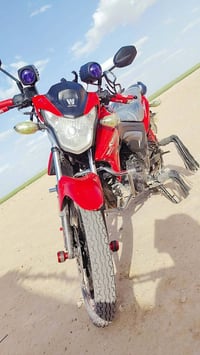 هاوجي • ٢٠٢٣ • اوراق كامله
