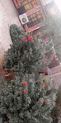حي السفير • ٦٠٠م • ٧ غرف نوم