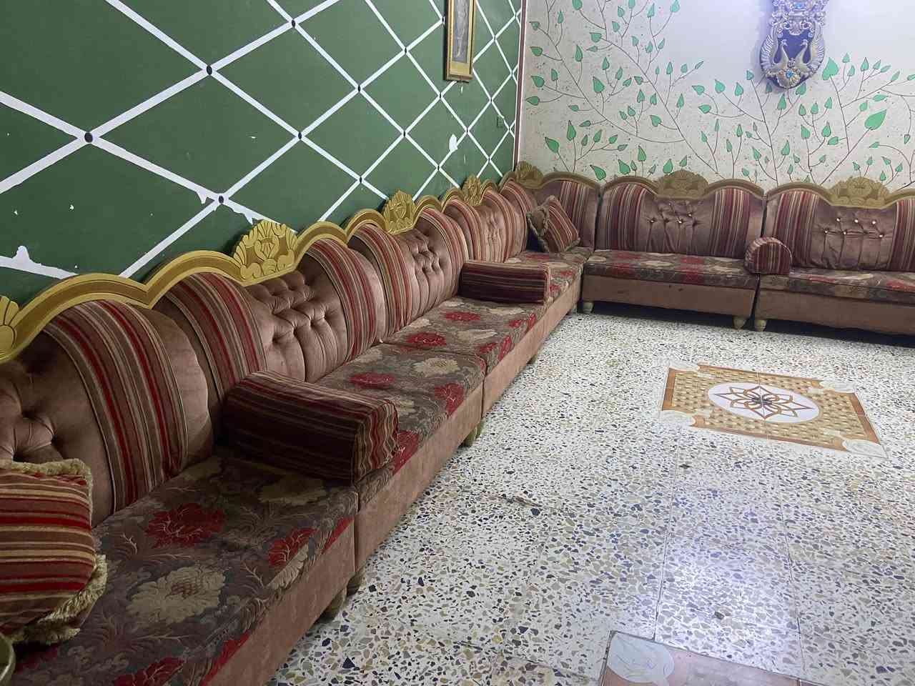 تخم ديوان • فلوجه شارع60