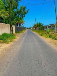 البصام • ٥ دونم • سند ٢٥