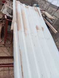 جينكو • ٢ قطعة • اغزيل الكبير