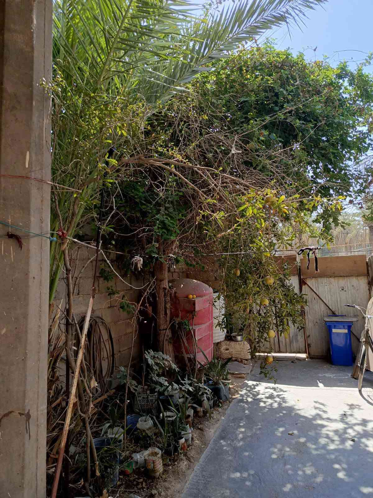 مشتمل للبيع طابقين الطابق الاول كامل جاهز للسكن والطابق الثاني هيكل مصبوب يحتاج لبخ+ ابواب 
المساحة 125م
 الطابق الاول استقبال + صالة +مطبخ +غرفة نوم +صحيات  نفسه في الطابق الثاني 
العنوان : المحاويل/حي الاسرى/الافراز في المقدمة
طابو صرف سعر البيع ٦٢ وبي مجال لشراي 
للأتصال على الرقم : ***********
