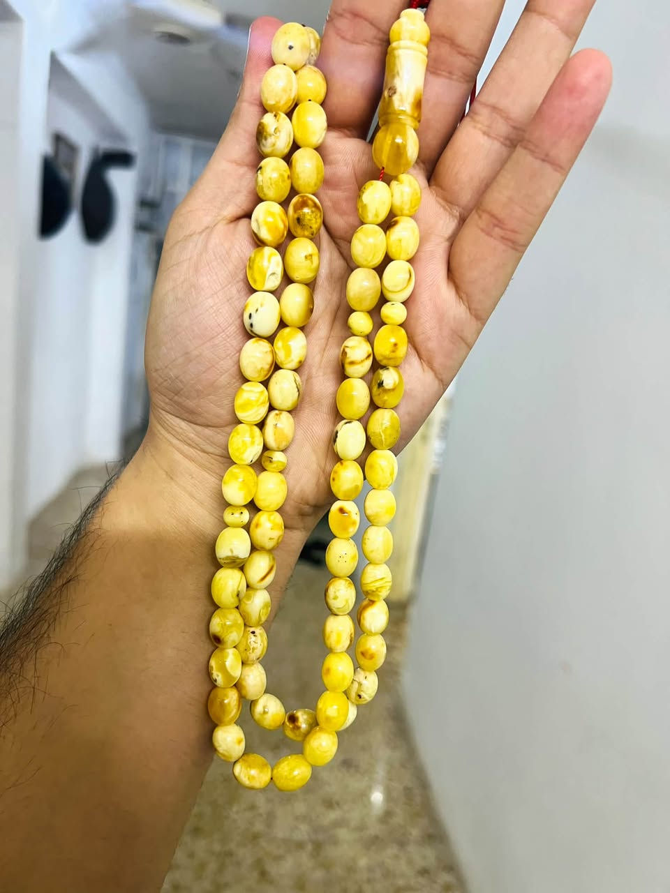 بيض حمام • ٦٥ حبه • ٤٧ غرام