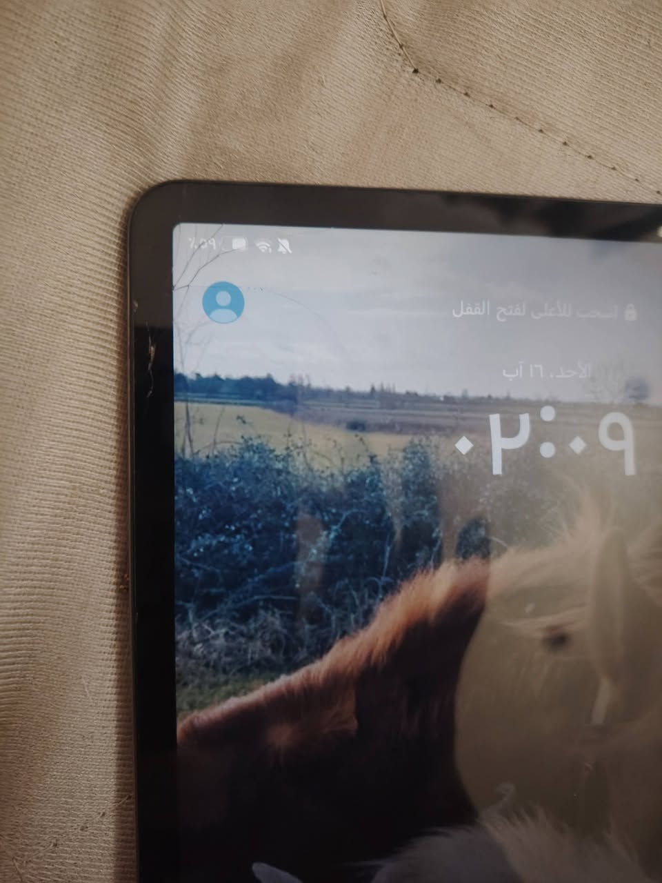 ايباد هونر باد9xaذاكره ١٢٨ كل شي مابي وغراضه كامله بس هذه فطر لان وكع مني وما ماثر على لمس ولا صوره
عنواني بغداد
*********** 
ايباد هونر باد9xaذاكره ١٢٨ كل شي مابي وغراضه كامله بس هذه فطر لان وكع مني وما ماثر على لمس ولا صوره
