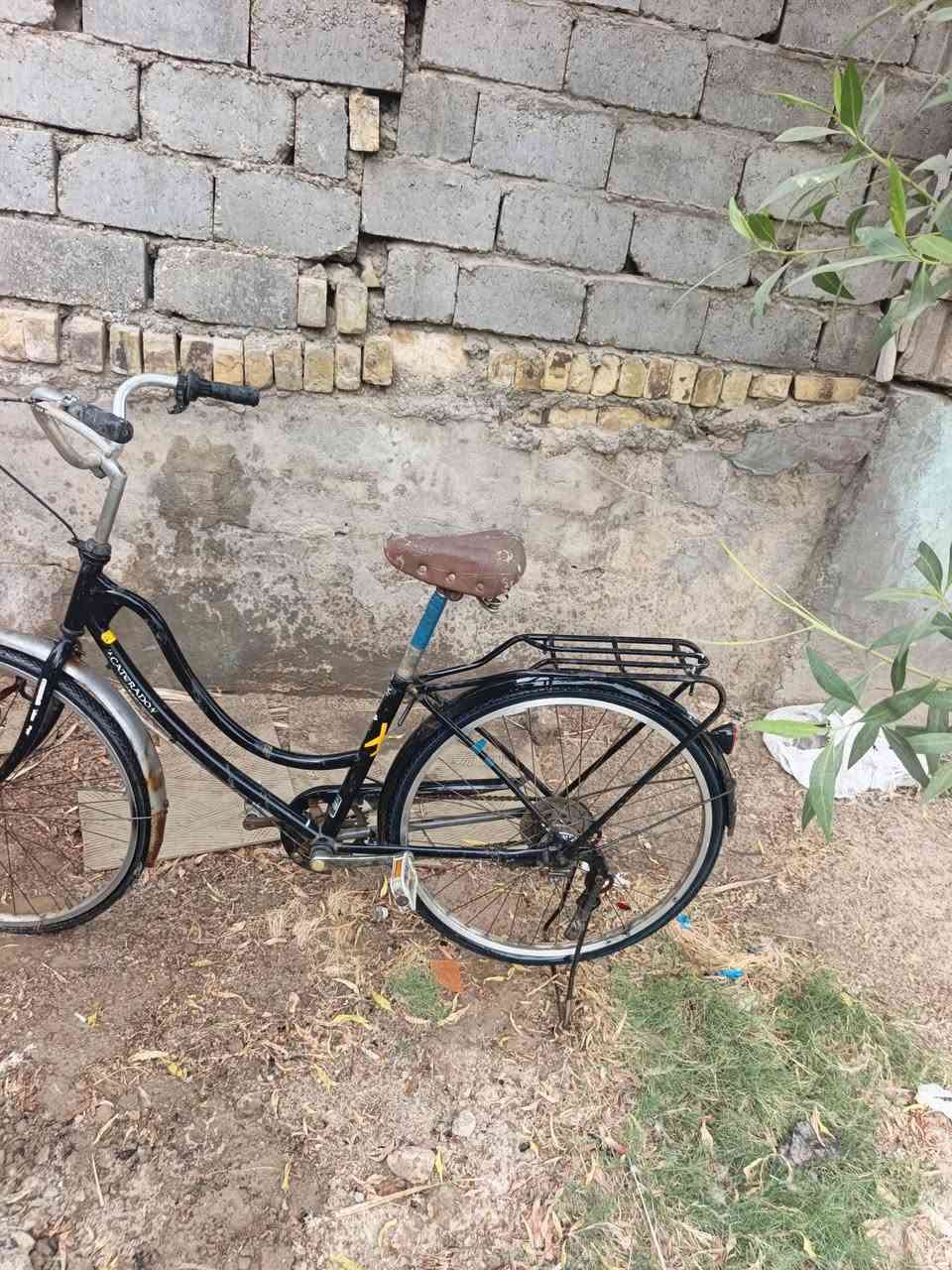 بابل المركز • بسكليت