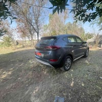توسان • ٢٠١٧ • رقم بغداد