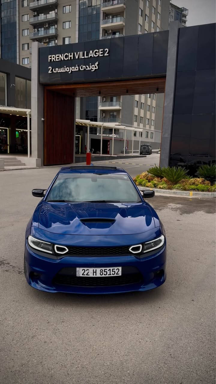 الوحش الامريكي
Dodge charger Scat Pack 2021
دودج جارجر سكات باك 2021
ارخص سكات كلين بالعراق
سعر السيارة 27,000$ يعني دفترين وسبعين ورقة وبي مجال بسيط سعر البلاش
مواصفات سكات باك
بصمة
الكاميرا الخلفية
مصابيح زينون الأمامية
مقاعد تدفئة
شاشة بيرفورمانس
شاشة
التشغيل عن بعد
V8 392 (6.4)Engine 4 *
102,000 ميل ماشية
السيارة كلش نظيفة ومرتبة
السيارة كلين بس دعامية امامية صبغ الباقي كفالة عاااامة سعر كلش مناسب
العنوان دهوك
***********
*********** Leimuiden, ZH
