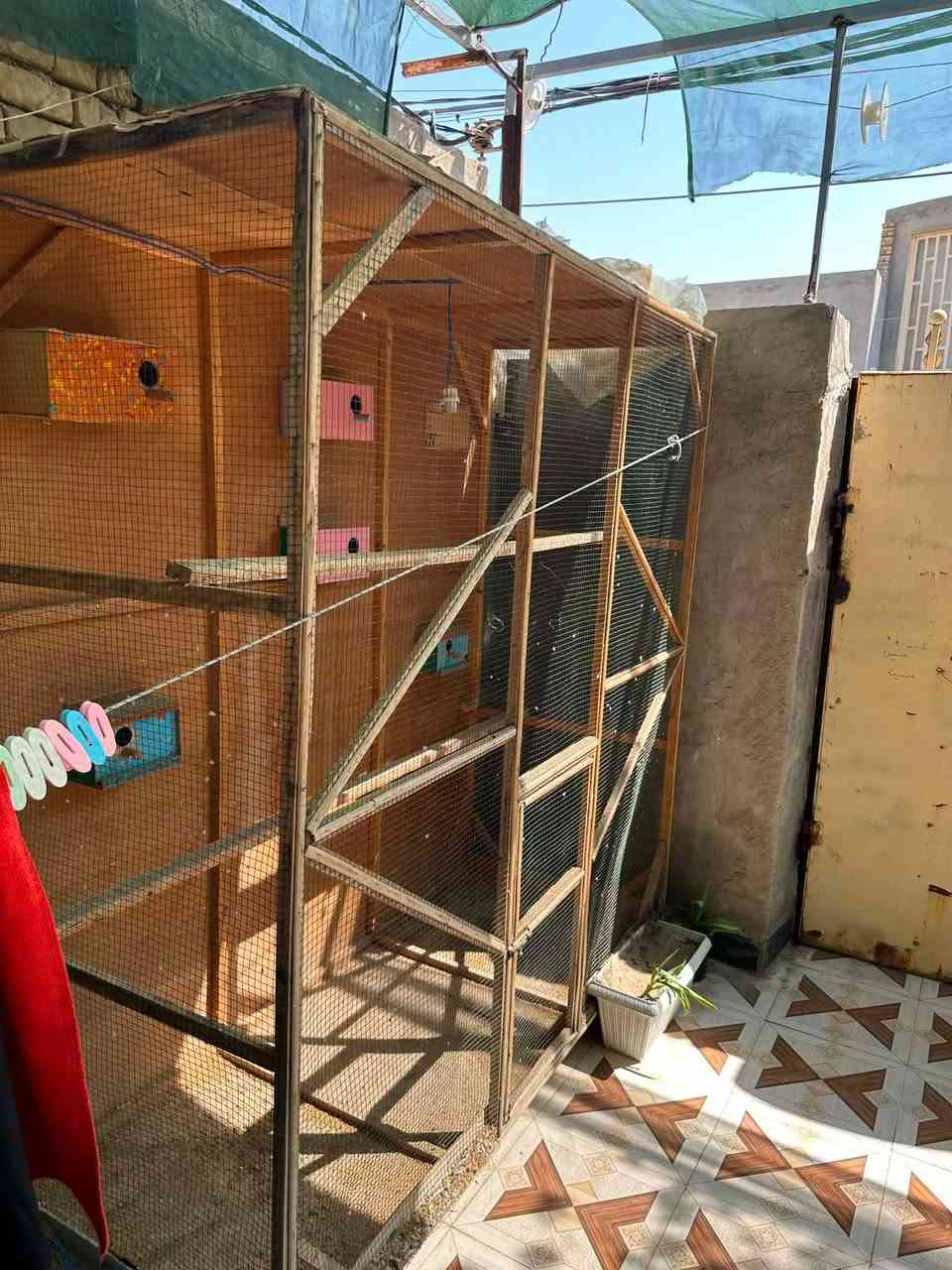 محميه للبيع رتفاع مترين وعرض مترين ونزال متر ترهم لكل الطيور بيها تواير من جوه سعرها 100 وبيها مجال ‏‪***********‬‏

