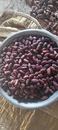 تمر الديره • ديري أسود