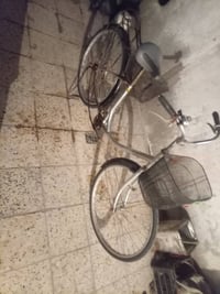 بايسكل سياحي • حجم 26 • البصرة