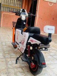 ٢٠٢٥ • بطاريات جديدة • كفالة عامة
