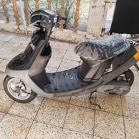 بطه • اوراق • نضيف