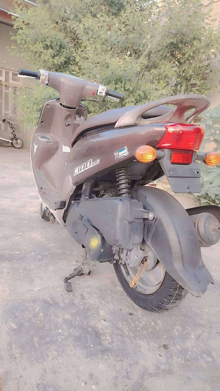 فله • ٢٠١٠ • مكفوله
