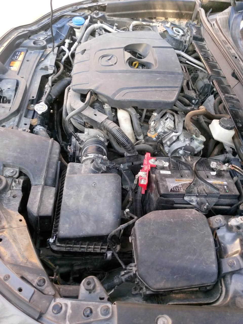 مازدا cx30 موديل 2024 بدون رقم منفيس وكاله أو تحويل بنفس اليوم
بيع  السعر 142 وبيها مجال كلش بسيط 
أو مراوس ب كامري 2017 أو كورلا هايبرد 
اعلى مواصفات بالمازدا 
ضرر قطعه وحده فقط البنيد مبدل رقم الشاصي بالمنشور 
أيرباك ستيرن فقط وراجع شركة
داخل جلد 
كشن كهرباء خزن 3 وضعيات
كشن تدفئة 
فتحه 
أشاير بالمري نقطه عمياء 
مكينة 2500cc تنفس طبيعي 
دفع رباعي 4*4
مكينة وكير وتخم تايرات وتبريد كله شرط 100‎%‎ 
العنوان سامراء 
للإستفسار ***********
ماعجبك المنشور 
اكرمنا بالصلاة على سيدنا محمد
