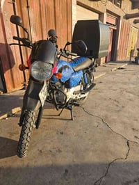 بوكسر 22 دراجه كامله مكمله رقم حله مشروع وطني وين ما كان تتحول هزه جدي...