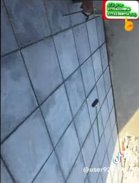 تطبيك اشتايكر • تصليح وتنظيف السطوح • بغداد