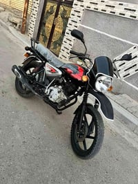 بوكسر • اوراق • ٢٠٢٣