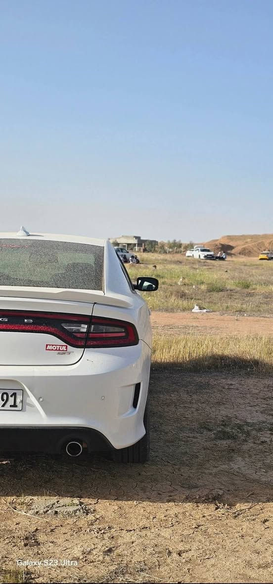 جارجر 2019 ابيض جي تي سوبر تراك
كلين تايتل مكفوله من لبارد وصبغ كفاله عامه
مكينه3.6 
ماشيه 73mi
رقم اربيل هزه جديده تحويل او وكاله ب اي وقت
سنويه نافذه لل2031
سعر 🔻250$ 🔻
مكانها بغداد الحسينيه قرب البوابه 
***********
