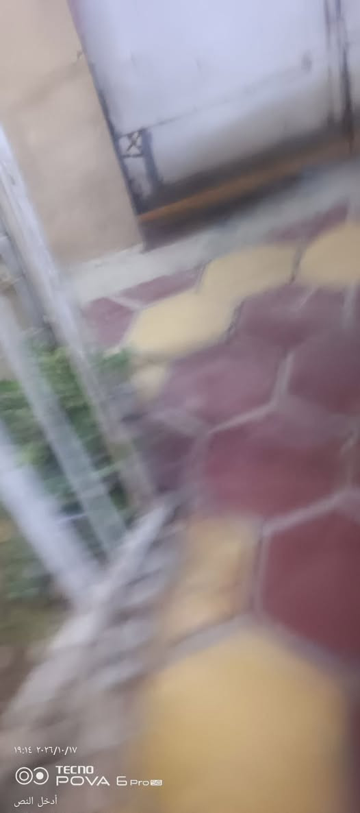 محجر • ١١م • ٩م