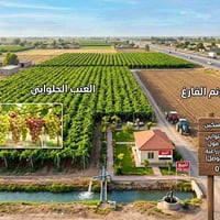 قضاء الدجيل • ٣ دونم • عنب حلواني