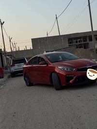 فول الفول • ٢٠١٩ • مشمشي ١١٨ ألف