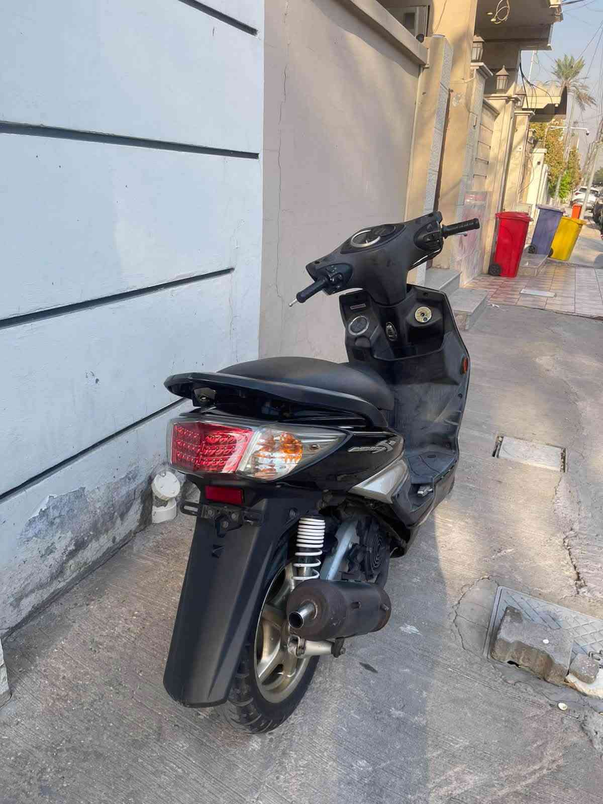 سكنس فحل • نوزل • مكفولة