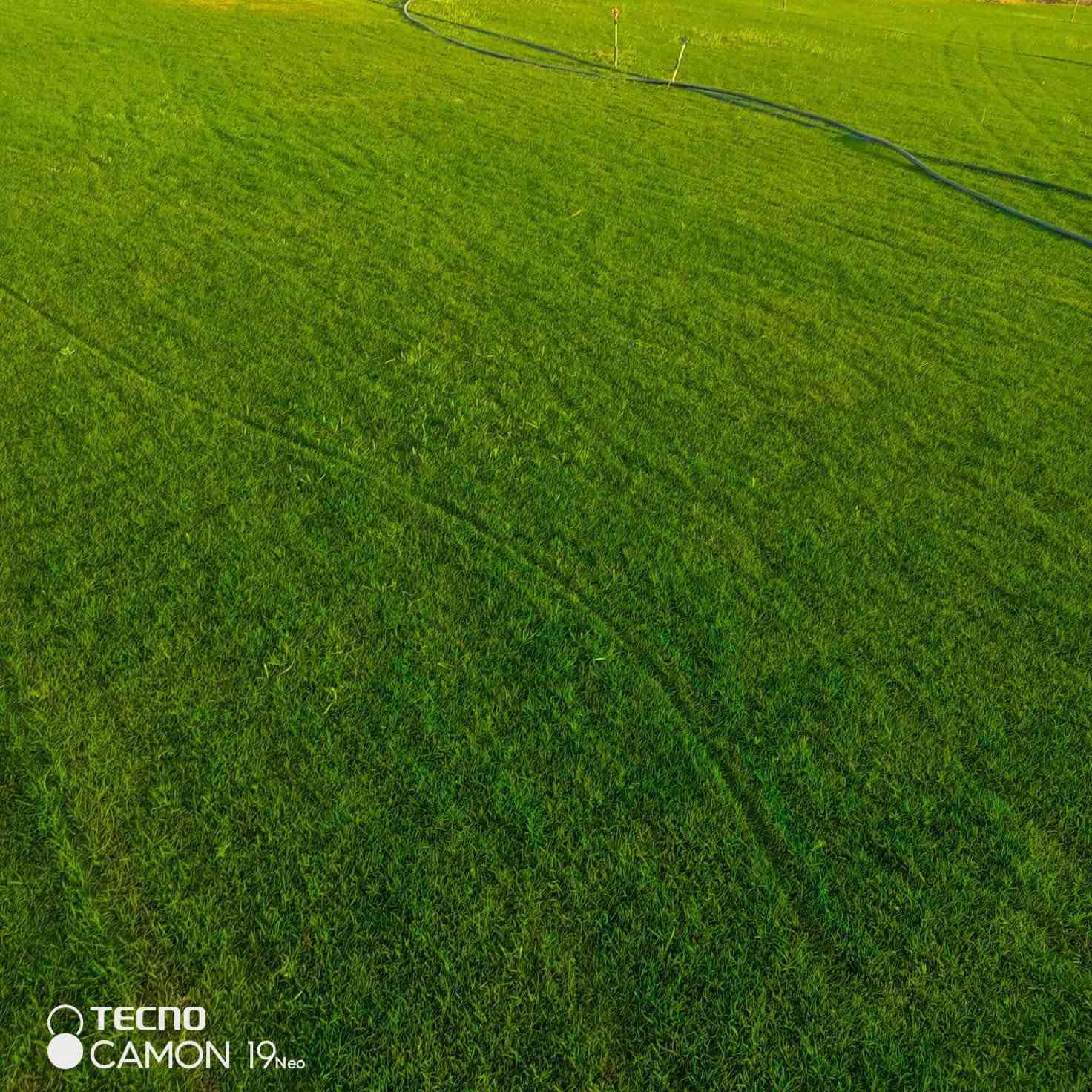 ثيل طبيعي • انواع متعددة • توصيل عراقي