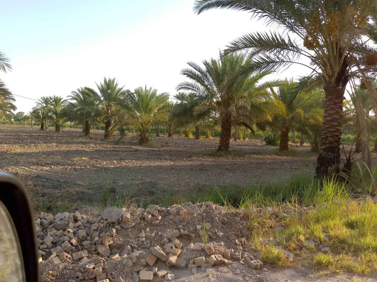 للباحثين على الهدوء والابتعاد عن الزحمة والضوضاء
للبيع المستعجل ارض طابو 25 مساحتها 2000 متر موقع مميز جدا

موقعها المحاويل قرب بيت أبو الطياره تبعد عن الشارع العام مايقارب 200 متر وقريبه على طريق مطار كربلاء المقدسة الجديد 

مواصفات الأرض طابو سند 25واجهه 28متر ركن على ثلاث شوارع الأمامي 10 متر والجانبي 5 متر والي بالخلف 8 متر  متوفر فيها كل الخدمات تبليط كهرباء وماءً اساله وقريبه من المدارس والأسواق علماً ان الأرض مزروعة نخيل وهذه صور تابعة للأرض 

تحويل الأرض مباشر وفي دائرة طابو المحاويل 

الاستفسار والمعاينة والسعر يمكنكم التواصل عبر الرابط الخاص او الرقم المذكور أو الماسنجر@

***********

https://api.whatsapp.com/send/?phone=201040175849&text&type=phone_number&app_absent=0&wame_ctl=1@
