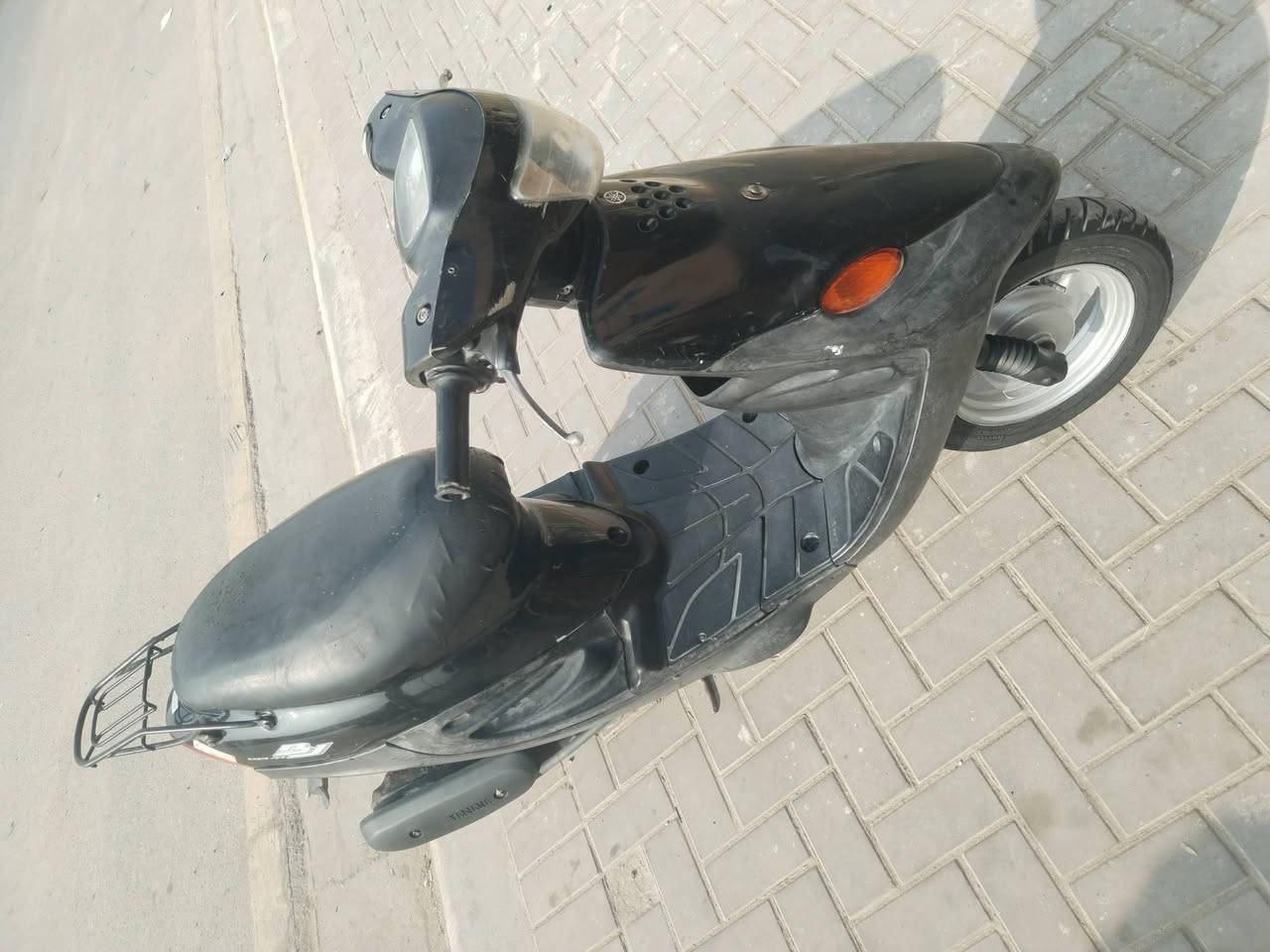 بيجي • فحل • نضافه