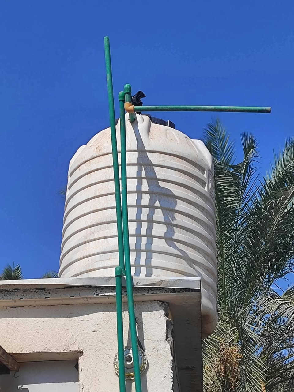 السلام عليكم
محل سمك ودجاج الغراض ڱڵـه  للبيع

1_شوايه سمك

2_شوايات سمك عدد15

3_ميوزه عدد 2كبار

4_حوض سمك يشيل 80كيلو

5_سنك

6_هلاسه مال دجاج جديده

7_مذبح تفصال حديد

8_قفص دجاج طول 3متر وعرضه متر

9_گيزر 120لتر مع تانكي ماء 500لترمع ماطور

10_مبردات جديده صار شهر مشتريه

11_ميزان الكتروني جديد

الغراض ڱڵـه  جديده وتفصال تريد تاخذ شلع اتساهلك بالسعر تريد مفرد عادي عنواني ناصريه مركز الخاص مفتوح او اتصال ***********
