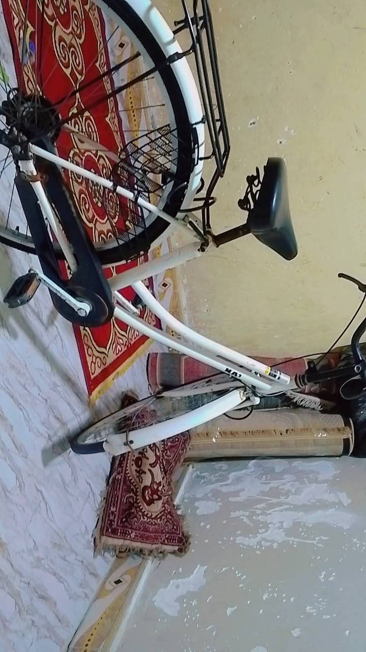 بايسكل سياحي باله مستعمل حجم 27 مديل 2019 مستعمل قليل وكلشي ما بي  سعره 75 نهايته كلش مكاني بصره دور الشرطه قرب شارع 30 لاستفسار واتساب فقط  ***********
