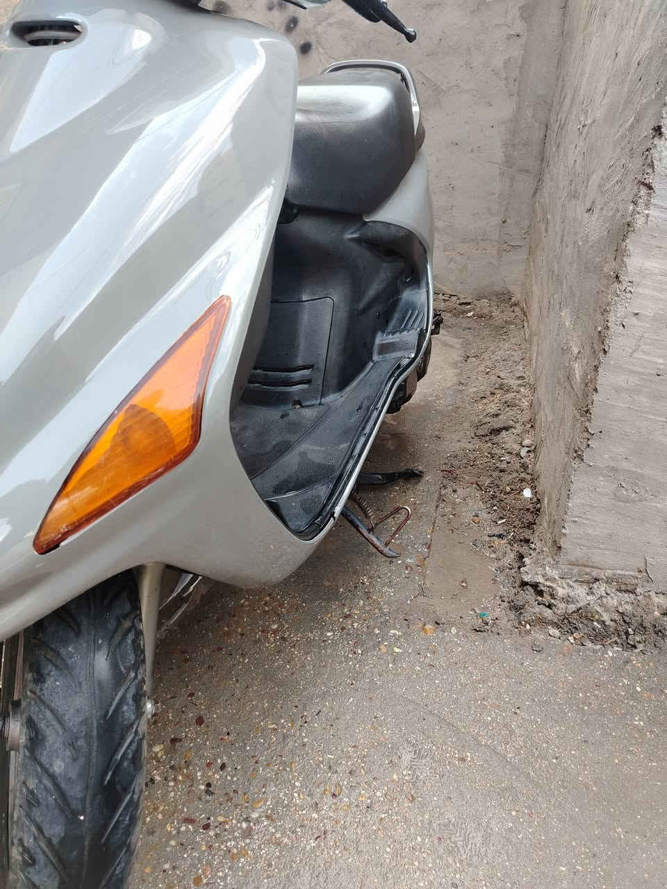 فراشه • رصاصي • جديده