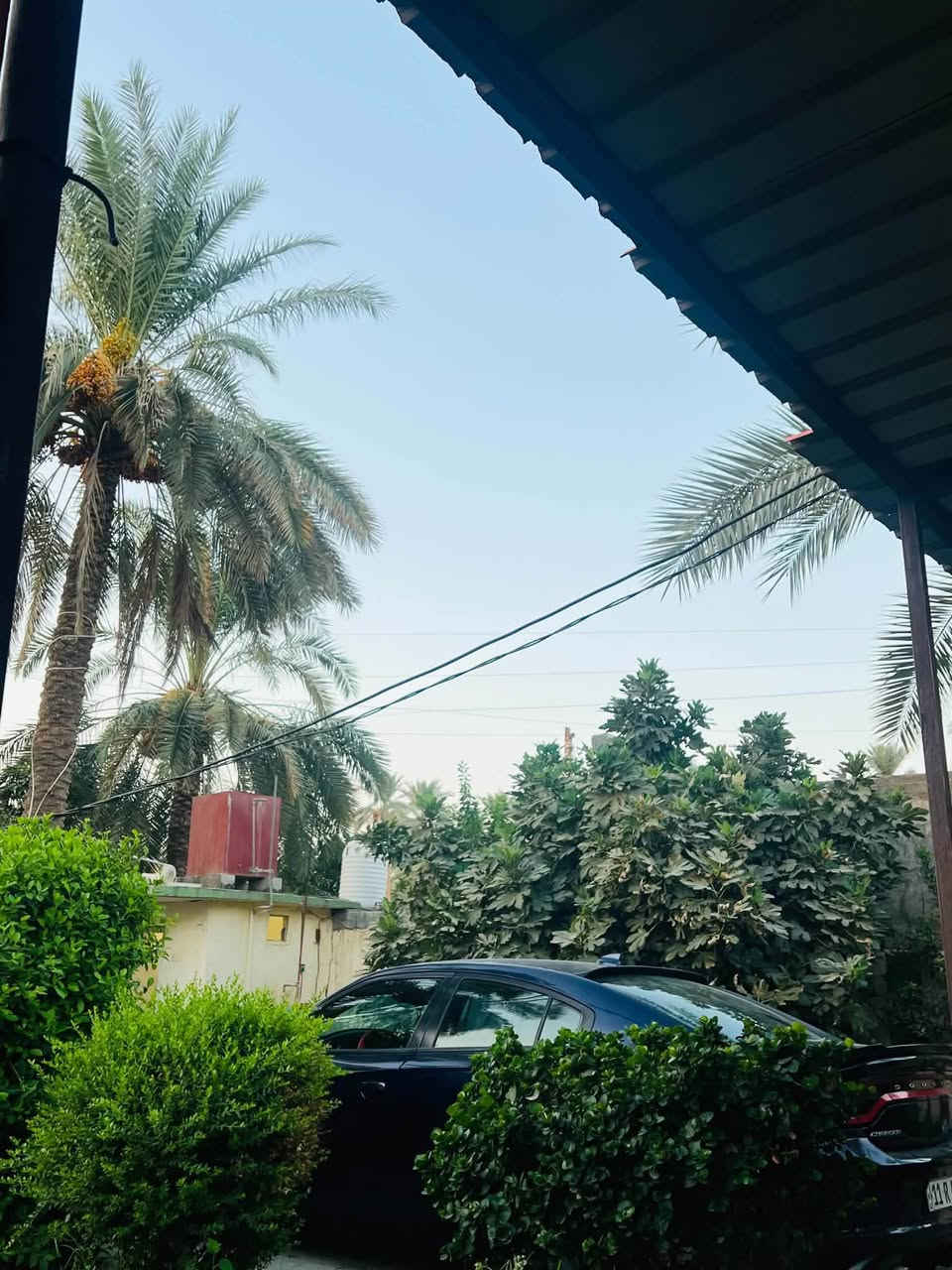 .
جارجر 2015 SXT بلاص تو ويل المرغوب بدووون ايرباك
محرك 6 سلندر 3600 وارد أمريكي استخدام شخصي بأسمي تحويل ثاني يوم رقم بغداد دولي جديد وهزه جديده  ماشيه 85 الف فقط 

المواصفات:

بصمة تشغيل 
فتحة
كشن خزن ميموري 
كشنات حضن 
سستم صالنصات دبات ع ريمونت 
بصمة ابواب
تشغيل عن بعد
تبريد قطعتين
لدات امامي
لدات خلفيه
مري هيتر
اشاره لد
بلاجكتور زينون 
لايت زينون
ويل كب 20
كاميرا خلفيه
شاشه كبيره
تحكمات ستيرن جهتين
شفتات بالستيرن
شفقه خلفيه
كشنات تدفئه
سبايدر جنطه
دفيوزر srt
لحيه اماميه
كفرات بيبان ومري
سستم سماعات 
كير طياره 
كشنات ذاكره
عليها ادامه كامله بلكات نوزلات مجاول فيتبم 
تايرات جدد
صدر نظيف 
بيها صبغ جاملغ امامي سكن ونص البنيد ضربه امريكا 
وبالعراق نص جاملغ خلفي فقط 
165 وبيها مجال 
مكانها بغداد حي تونس 
*********** ابو ذيبه
