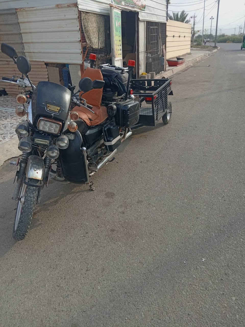 عربان • كهربائي طافي • بدون أوراق
