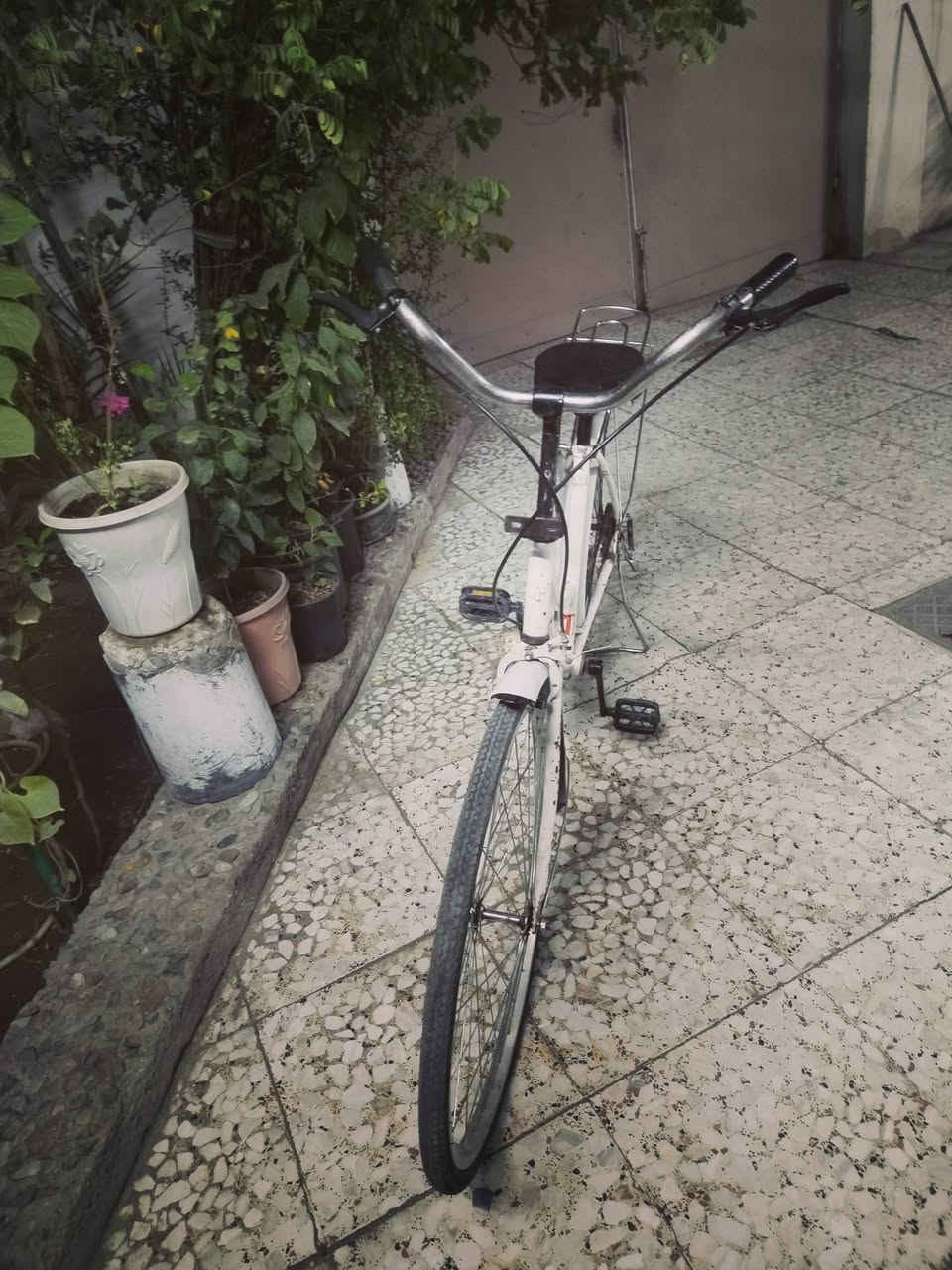 بناتي • حجم ٢٦ • بيه مشاكل