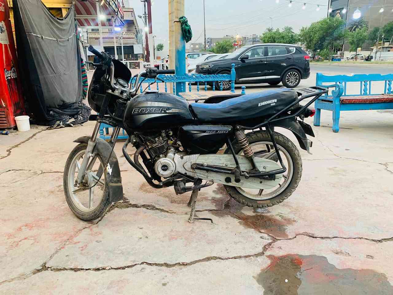 بوكسر • چواكيچ • ٢٠١٩