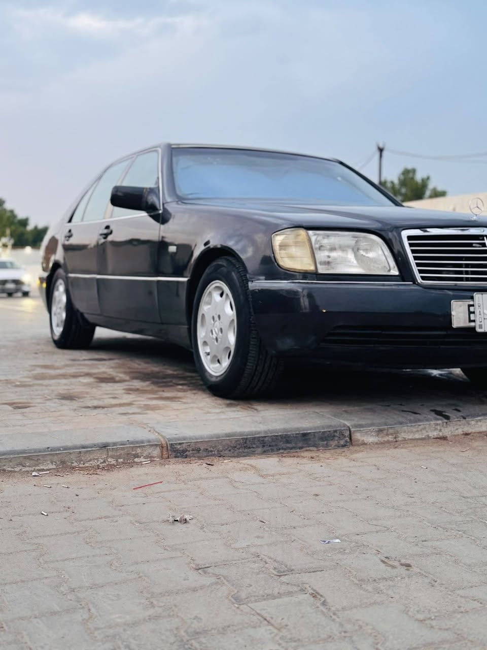 معمر • اسود • ازرق