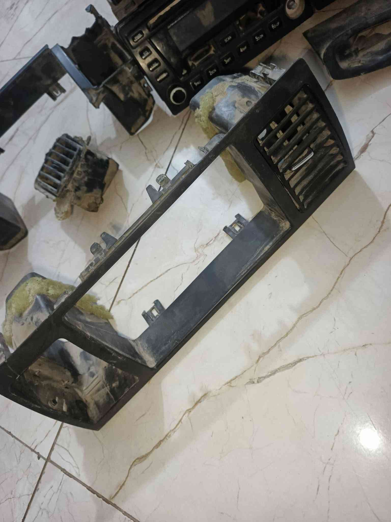 غراب • جيلي نوبل • الديوانيه