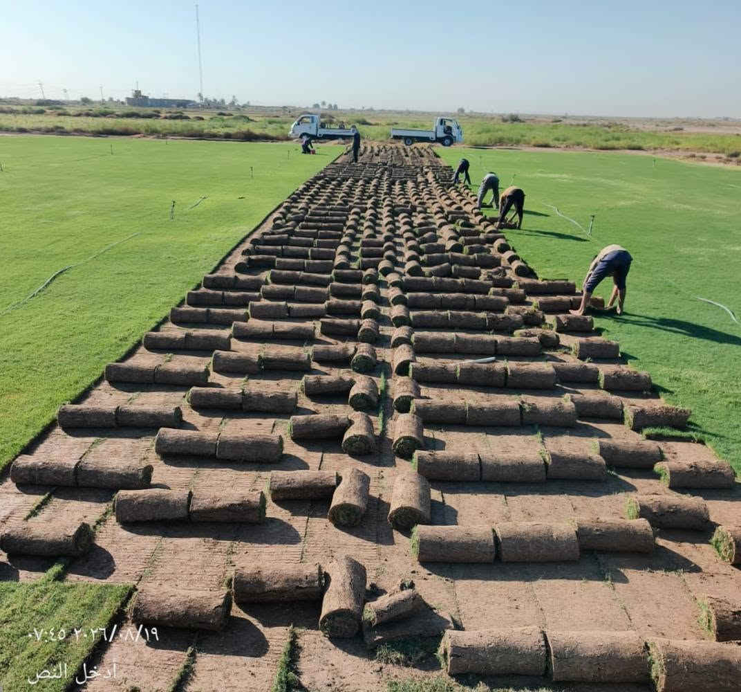 🌿 ثيل العمارتلي | عرض خاص لأهالي ميسان 🌿

عرض خاص ومميز لأصحاب المزارع والمشاتل ودوائر الدولة والمستثمرين في محافظة ميسان.

🌱 ثيل درجة أولى وبجودة ممتازة
🚚 تتوفر خدمة التوصيل 

🌿 الأسعار — بدون أجور النقل:

🇮🇳 الثيل الهندي الرايزومي: 1,000 دينار / م²
🇬🇧 الثيل الإنكليزي: 2,000 دينار / م²
🇫🇷 الثيل الفرنسي العطري: 3,000 دينار / م²
🇮🇹 الثيل الإيطالي الورقي: 11,000 دينار / م²

📦 أقل كمية للطلب: 500 متر مربع

🚚 تتوفر خدمة التوصيل إلى جميع مناطق ميسان 

📱 للطلب والاستفسار عبر واتساب:
***********

#ملاحظة موقع المزرعة في محافظة ديالى

نص مكتوب في الصور:
- ٠٧:٤٥ ٢٠٢٦/٠٨/١٩
- أدخل النص