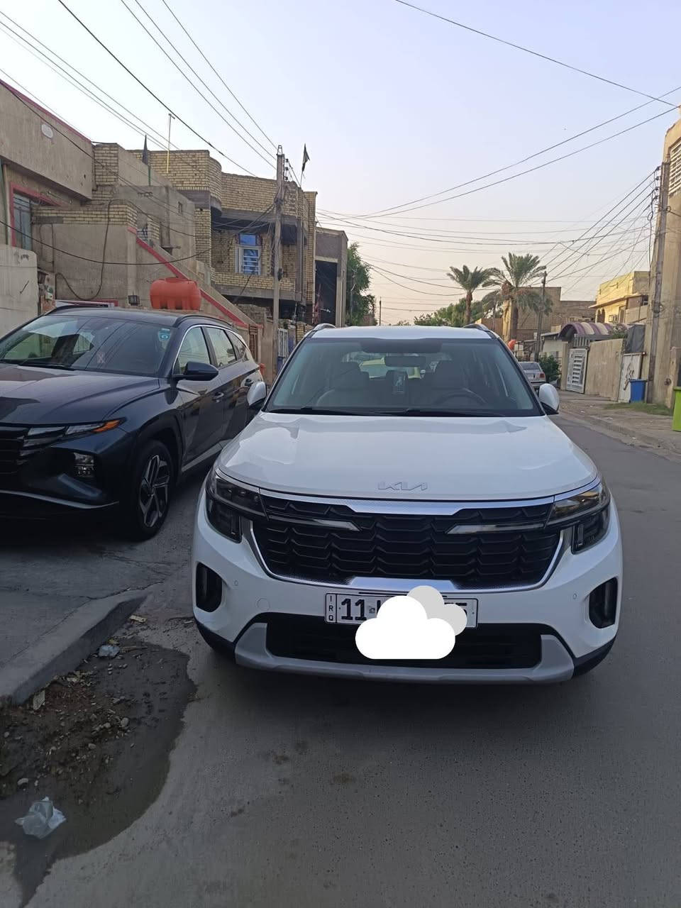 سلتوز خليجي • ٢٠٢٤ • ٣٦ الف